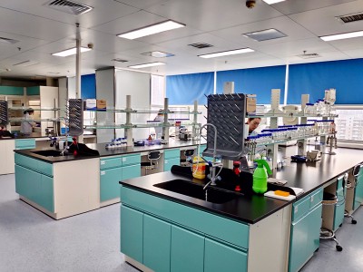 豚の胃腸腫病を予防する方法は?